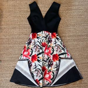 Clover Canyon Aline Dress.